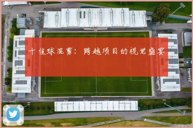 十佳球混剪:跨越项目的视觉盛宴