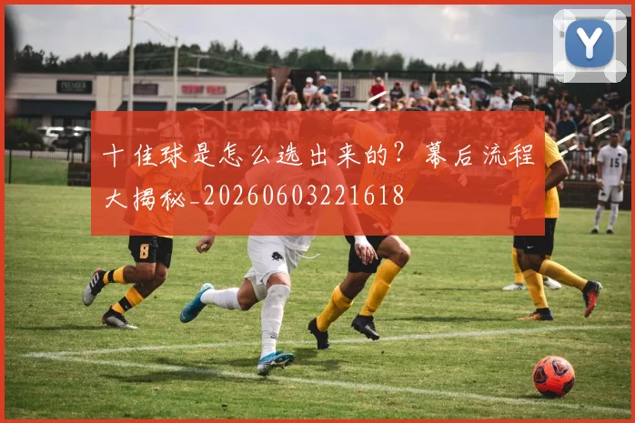 十佳球是怎么选出来的?幕后流程大揭秘_20260603221618