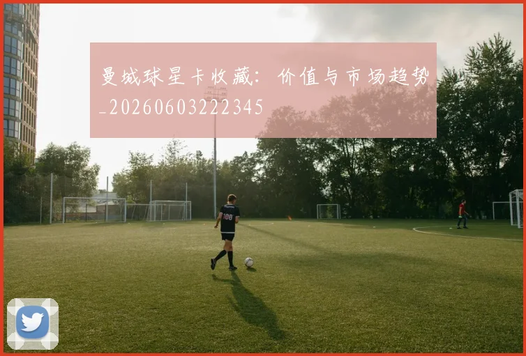 曼城球星卡收藏：价值与市场趋势_20260603222345