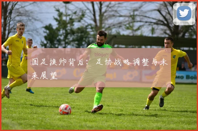 国足换帅背后：足协战略调整与未来展望